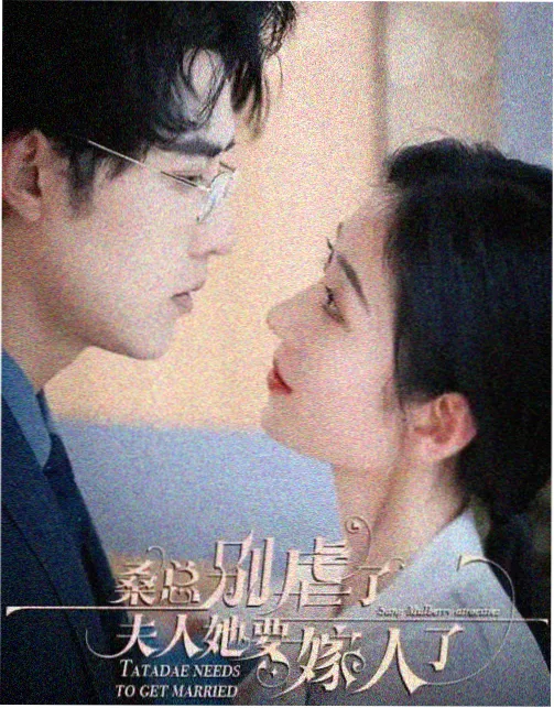 春季档剧集排播观察配图